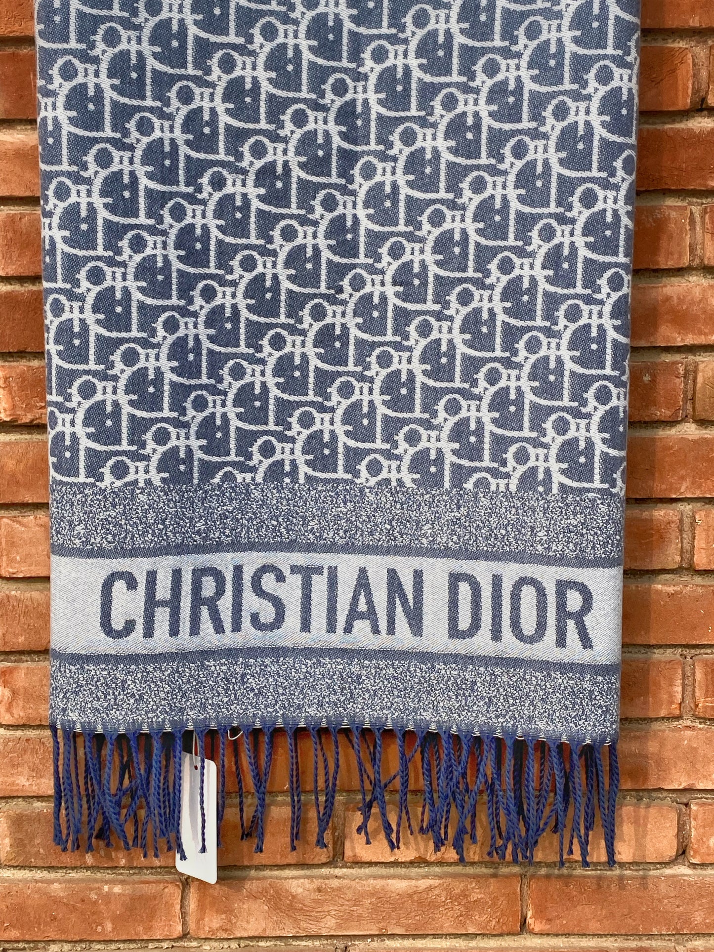 Christian Dior Blue Scarf CD-25-002